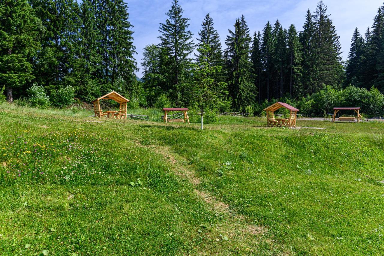 Fabulous Panorama Silver Mountain Apartments Poiana Brasov Εξωτερικό φωτογραφία