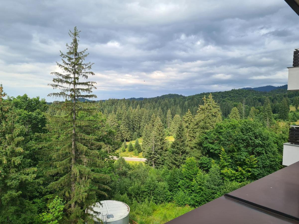 Fabulous Panorama Silver Mountain Apartments Poiana Brasov Εξωτερικό φωτογραφία